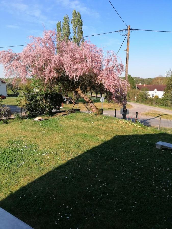 Gite En Brenne Les Chenes Merigny Exterior photo